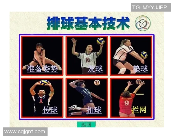 广州排球队近期状态分析与表现评估探讨