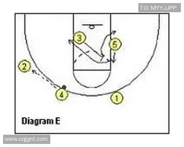 杭州排球队快攻战术深度解析与实战应用探讨